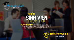 Thông báo tuyển thực tập sinh tháng 04/2019