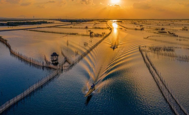 Phá Tam Giang Huế trong Du lịch Đầm Chuồn Phá Tam Giang – Lăng Cô – Lập An – Động Thiên Đường 3 Ngày 2 Đêm