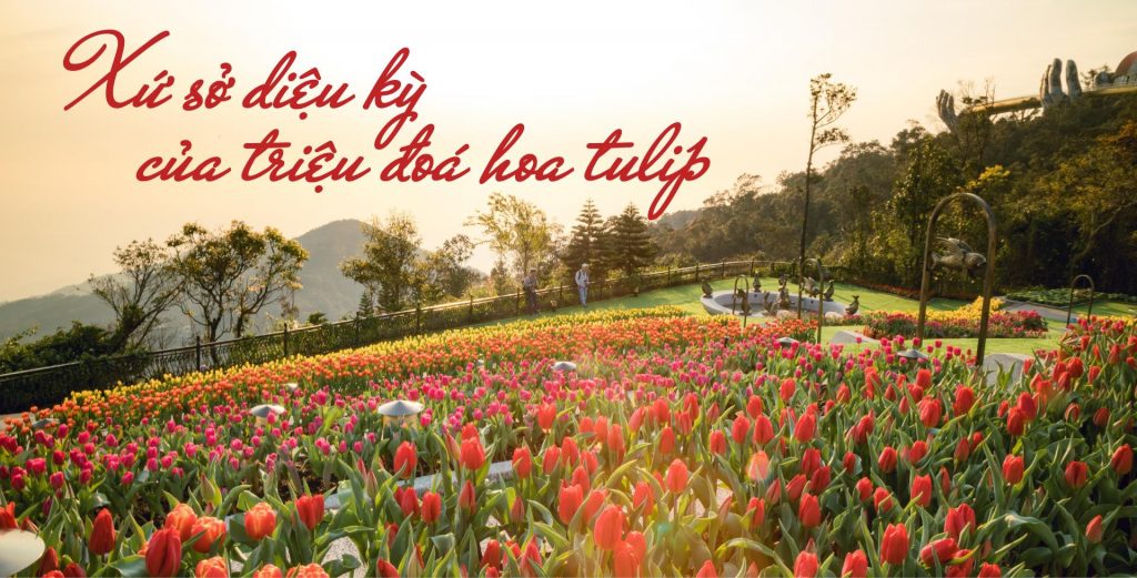 Đà Nẵng, Bà Nà Hills, Huế trong Tour Bà Nà Hill 1 Ngày Từ Huế