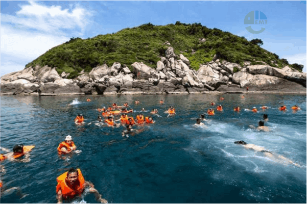 One-Day Tour Experience