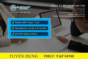 Du Lịch Con Voi Thông báo tuyển thực tập sinh tháng 09/2019