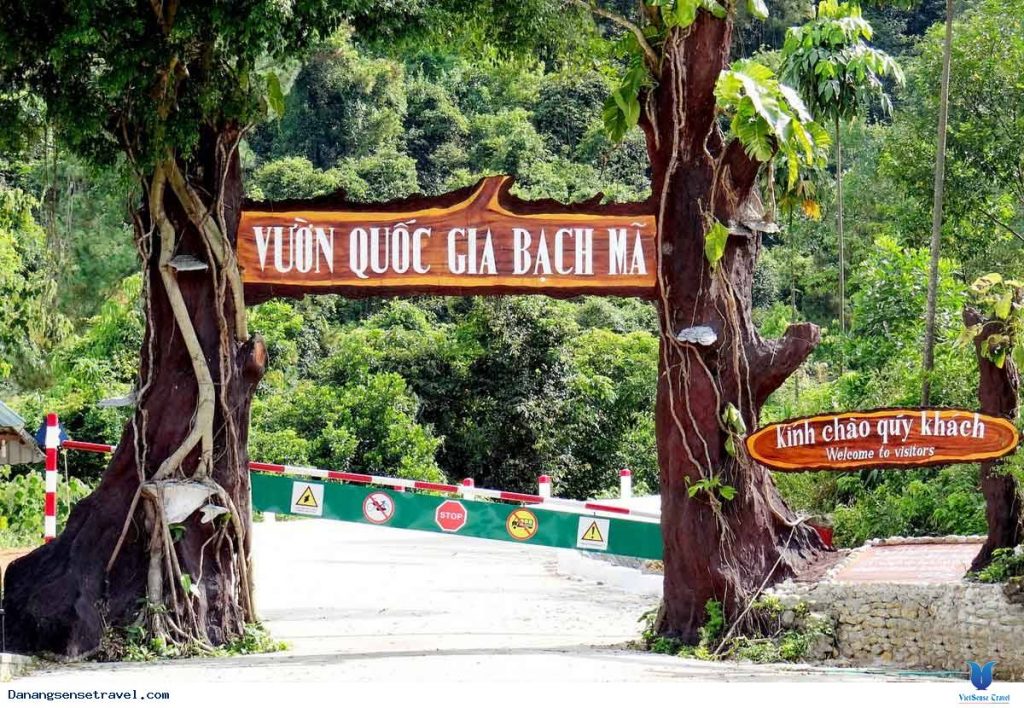 Huế, Bạch Mã trong Tour Du lịch Ngày 08/03: Huế – VQG Bạch Mã – Huế