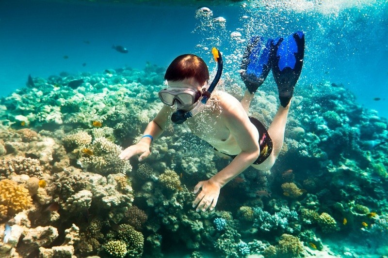 Tour Du Lịch Đảo Cồn Cỏ khởi hành từ Huế