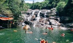 Tour giá sốc 9