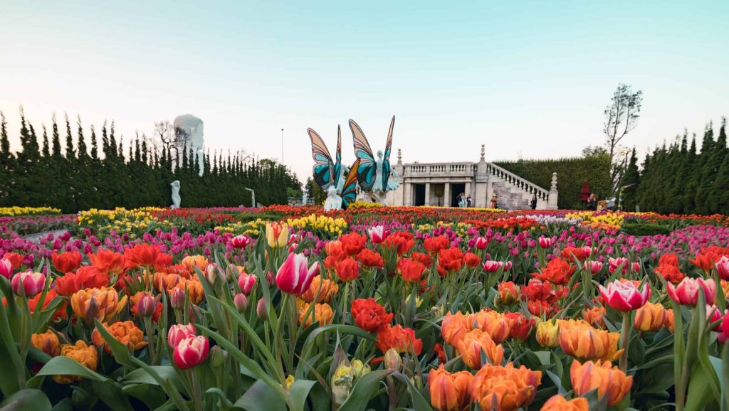 Đà Nẵng, Bà Nà Hills, Cù Lao Chàm trong Tour Tết Đà Nẵng 2025 – Hội An – Bà Nà Hills – CLC 3N2Đ
