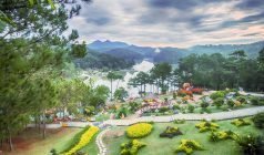 Tour giá sốc 1
