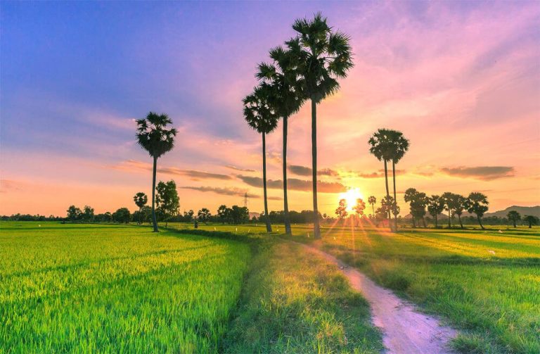 Du Lịch Xuyên Việt 15 Ngày 14 Đêm Khởi hành từ Hồ Chí Minh