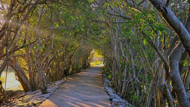 Tour Tam Giang - Lăng Cô - Lập An - Vườn quốc gia Bạch Mã 3N2Đ