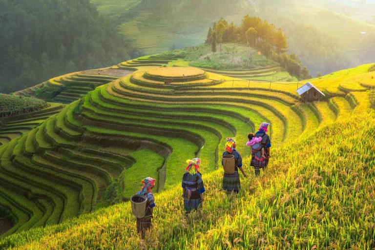 Du lịch Tết 2025 Huế – Hà Nội – Sapa – Ninh Bình – Huế 5 Ngày 4 Đêm