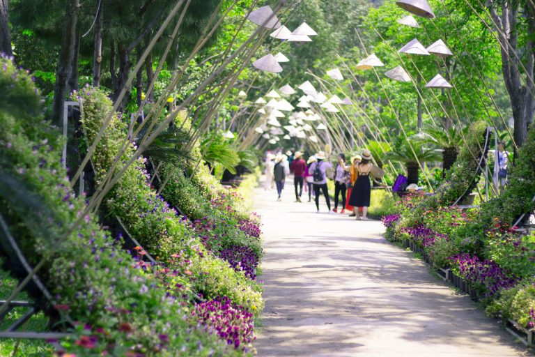Đảo Khỉ Nha Trang trong Tour Điệp Sơn – Nha Trang 1 Ngày