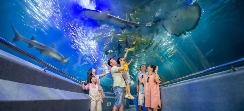 Viện Hải Dương Học Nha Trang trong Du lịch Huế – Nha Trang Vinpearl Land 5 ngày 4 đêm