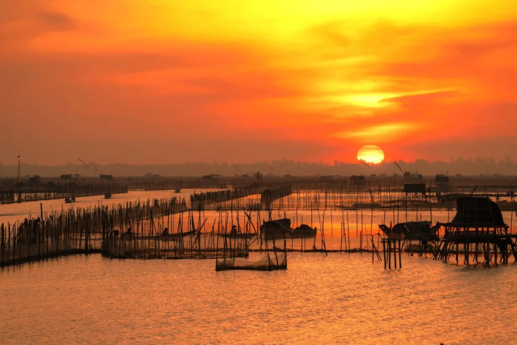 Phá Tam Giang Huế trong Tour khám phá cố đô Huế – Đầm chuồn – Tam Giang 3 ngày 2 đêm